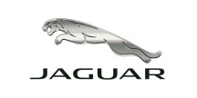 Mascota de automóvil para Jaguar